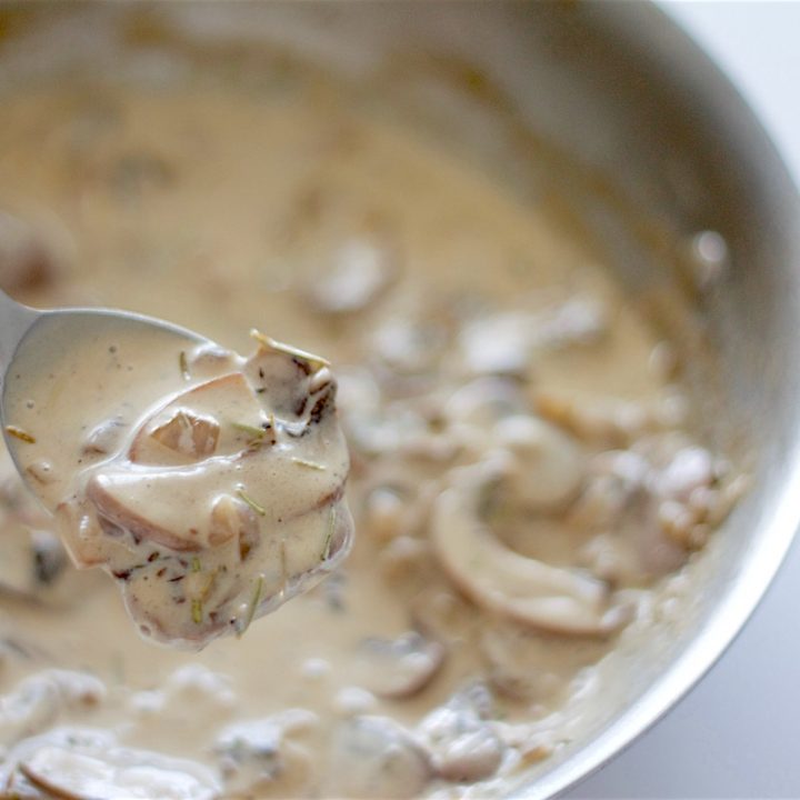 Creamy HerbMushroom Sauce bakeologie