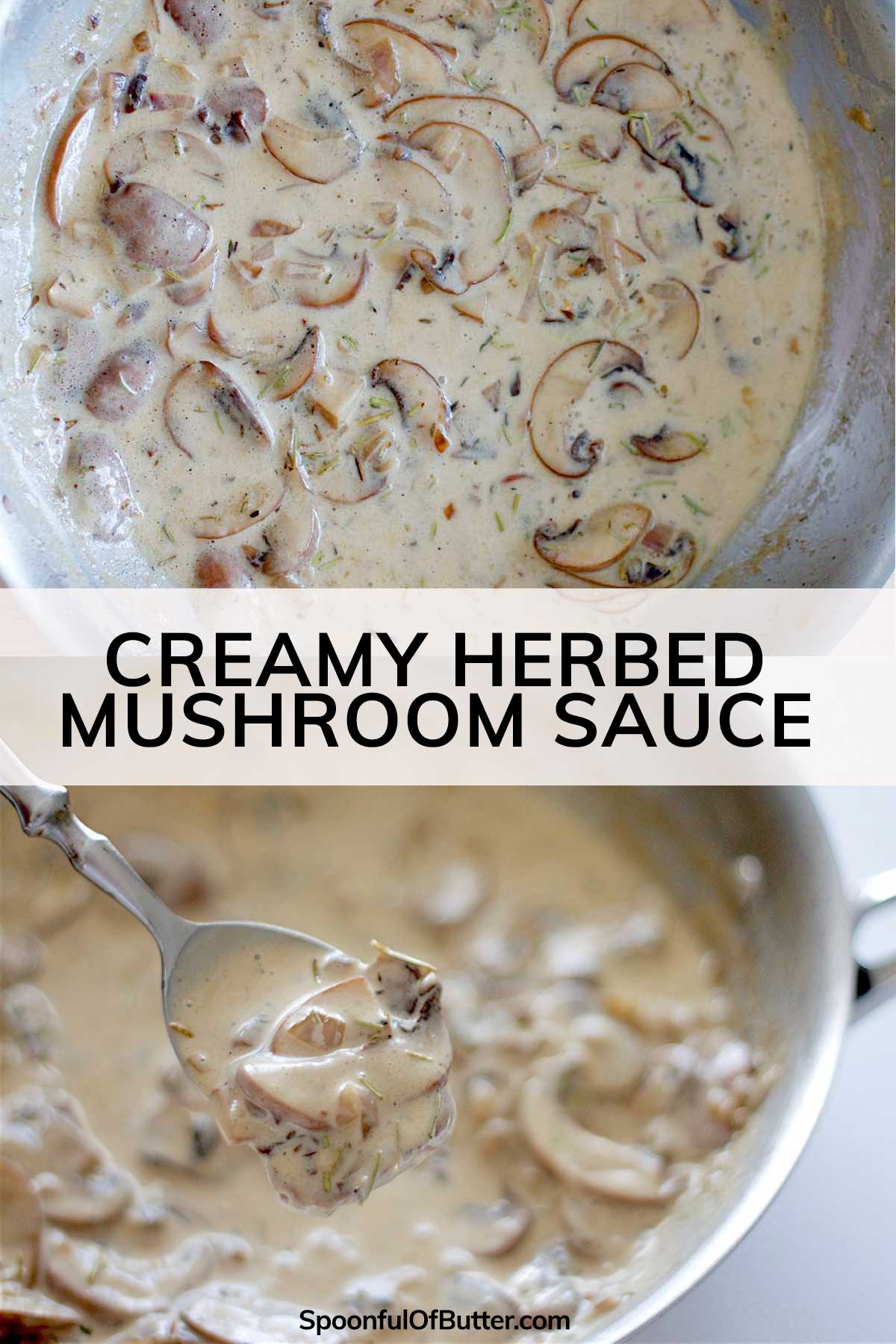 Creamy HerbMushroom Sauce bakeologie