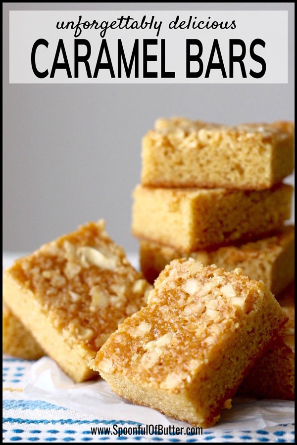 dun Afwijking ga zo door Caramel Bars (Max's Inspired) | The Bakeologie