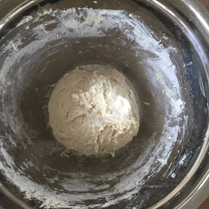 naan dough before proofing