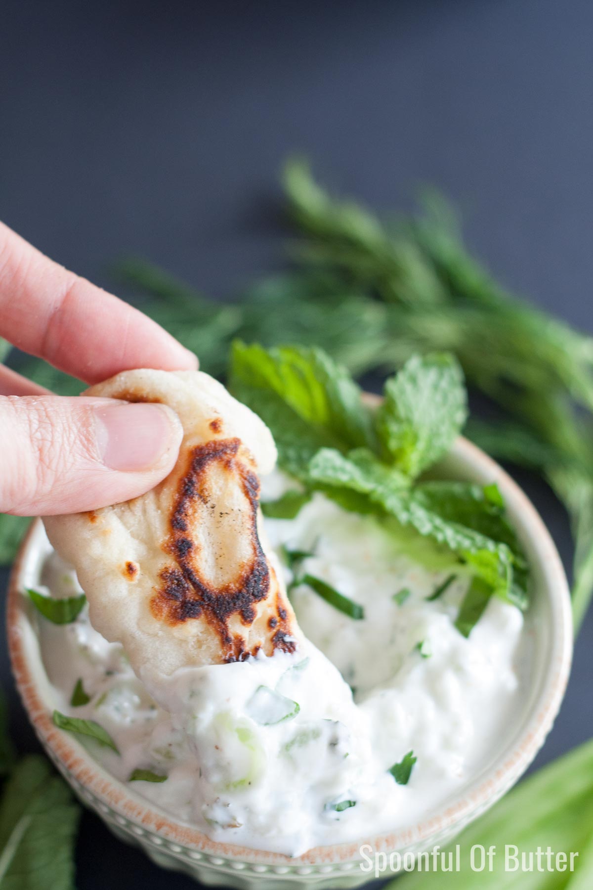 This is a good tzatziki recipe! Refreshing cucumber, creamy Greek yogurt, and zingy lemon make it the perfect condiment for just about everything.