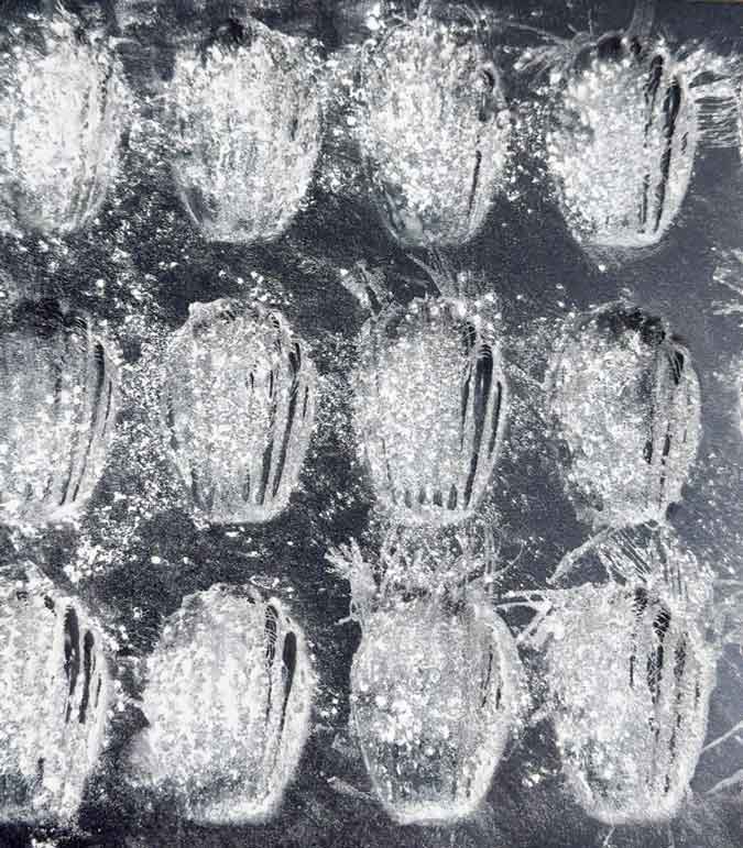 madeline pan prepared