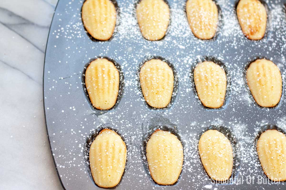 Classic French Madeleines