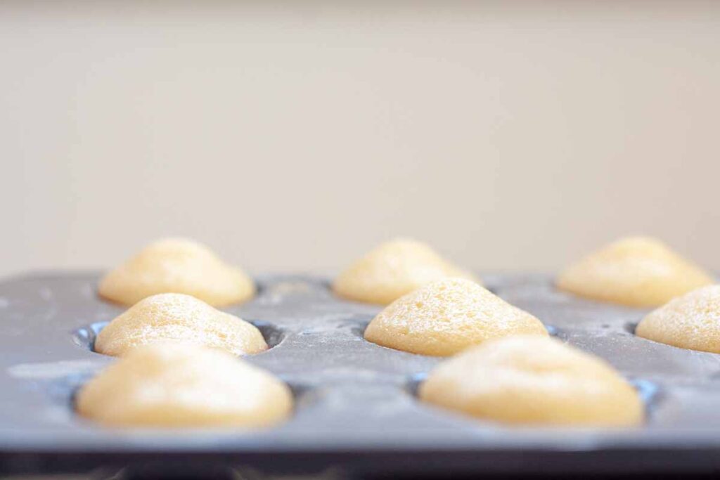Madeleines baked in a metal pan, showing evenly set tops and lightly golden edges straight from the oven.