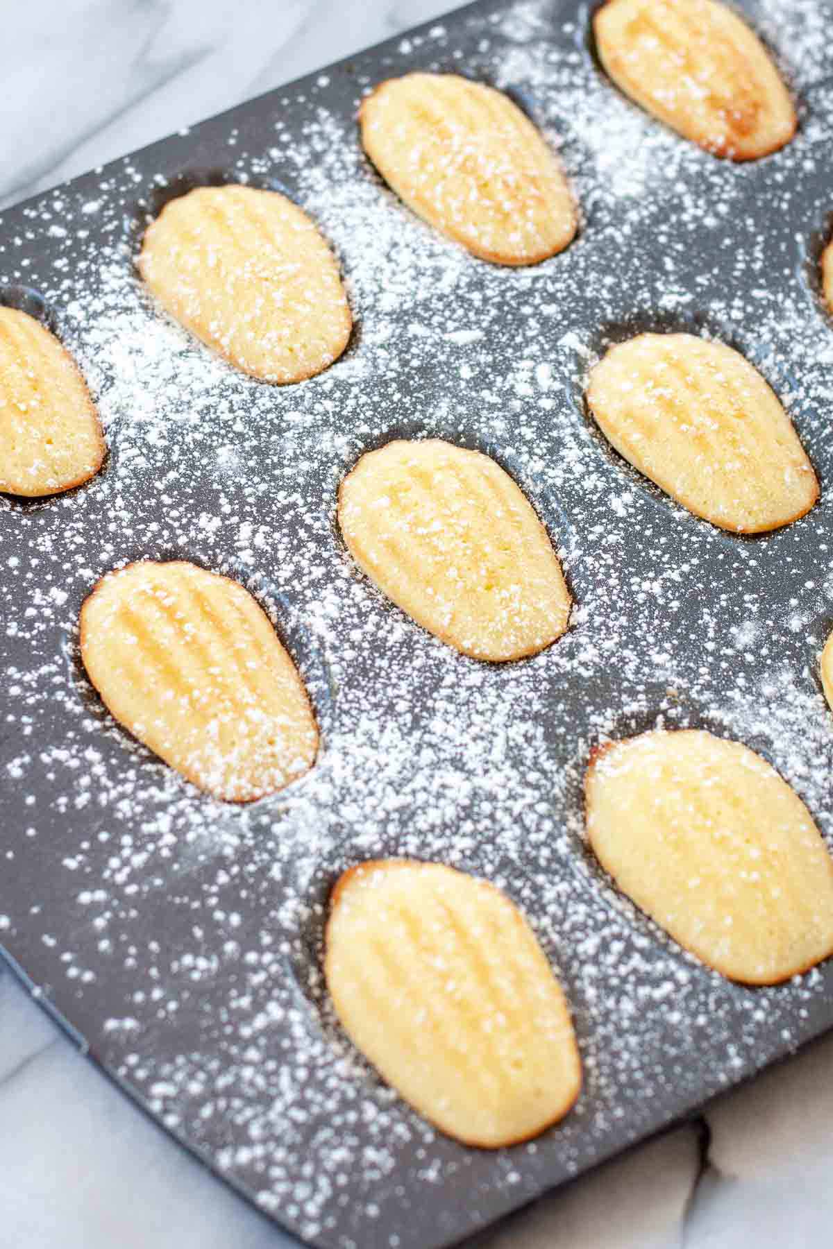 Buttery French madeleines with lightly crisp edges and soft centers, finished with a dusting of confectioners’ sugar.
