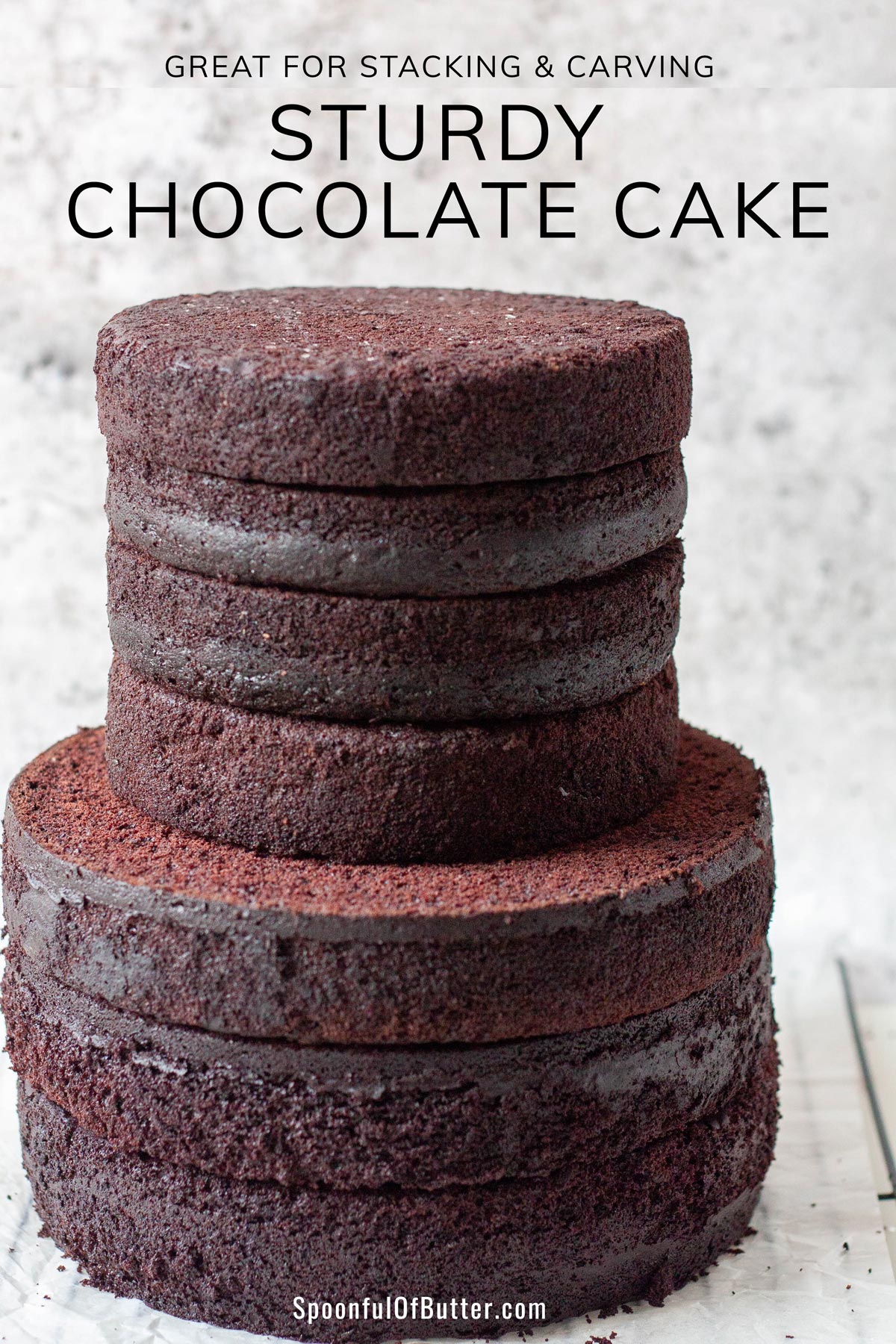 Sturdy Yet Moist and Fluffy Chocolate Cake bakeologie