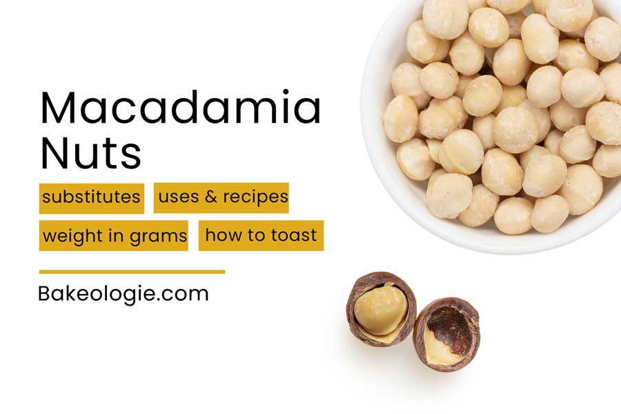 Title Page about Macadamia Nut Substitute, recipes, weight in grams