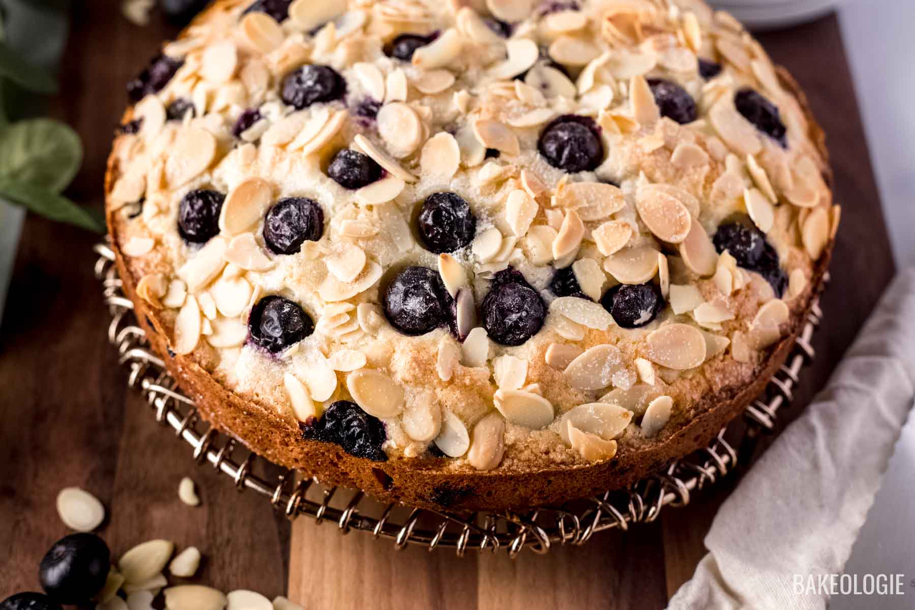 a whole, unsliced blueberry almond cake on a brass cooling rack