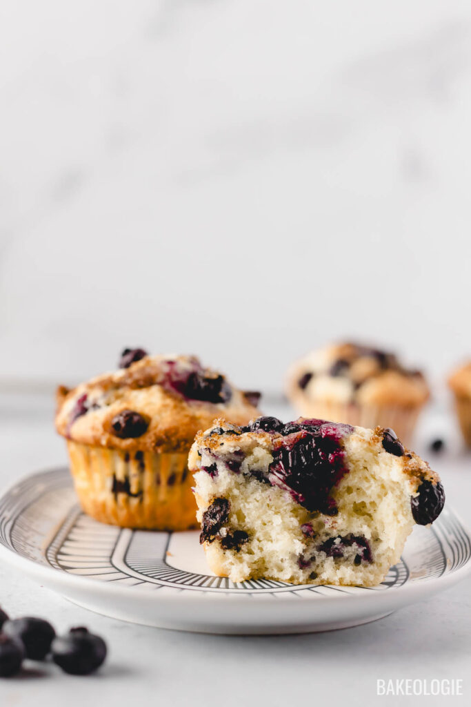 blueberry chocolate muffins with a bite on an elongated blue and white plate