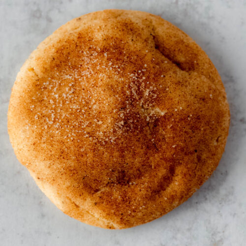 a photo of a single snickerdoodle cookie