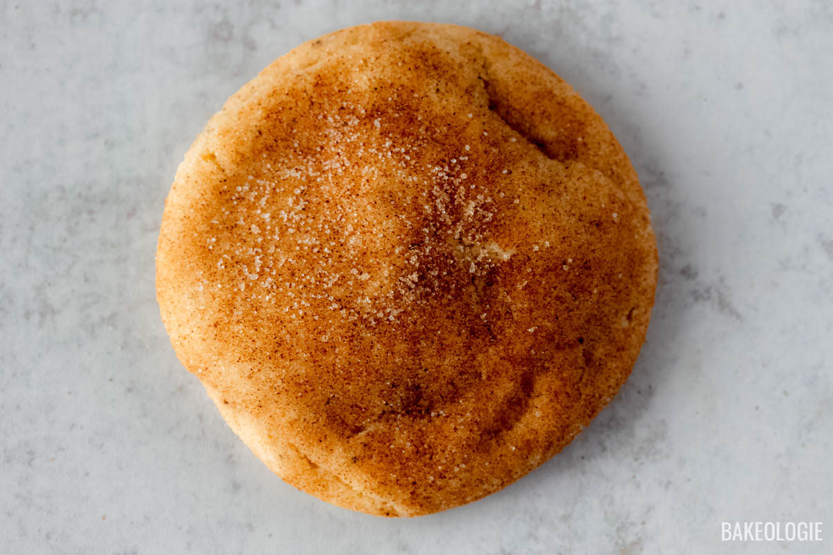 a photo of a single snickerdoodle cookie