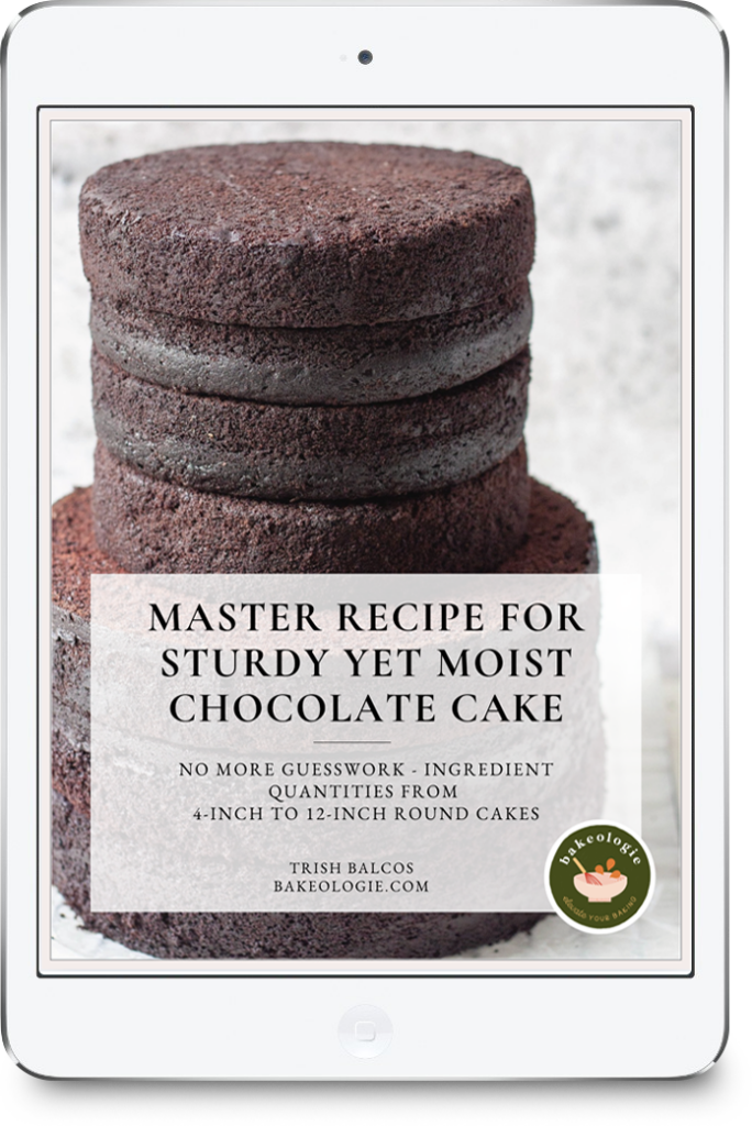 iPad displaying the cover of the 'Master Recipe for Sturdy Yet Moist Chocolate Cake' ebook by Trish Balcos of Bakeologie.com. The cover features a photo of tall, neatly stacked layers of chocolate cake and a badge that reads 'bakeologie — Elevate Your Baking.' Text highlights: No more guesswork—ingredient quantities from 4-inch to 12-inch round cakes.