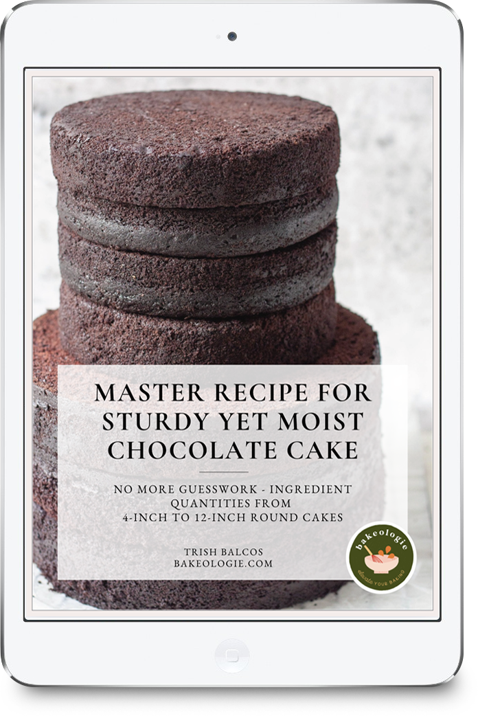 iPad displaying the cover of the 'Master Recipe for Sturdy Yet Moist Chocolate Cake' ebook by Trish Balcos of Bakeologie.com. The cover features a photo of tall, neatly stacked layers of chocolate cake and a badge that reads 'bakeologie — Elevate Your Baking.' Text highlights: No more guesswork—ingredient quantities from 4-inch to 12-inch round cakes.