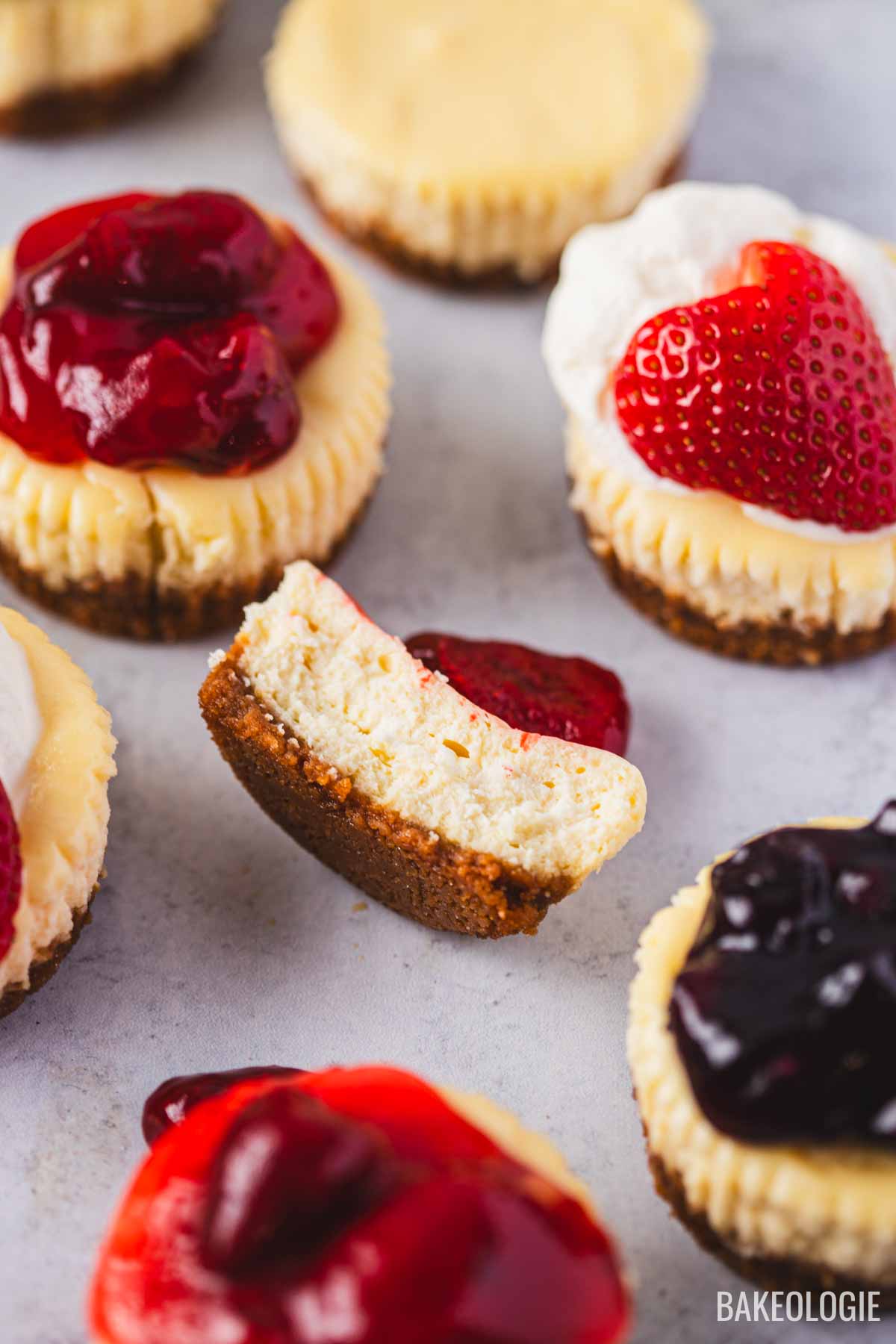 Mini cheesecakes baked in a muffin tin with different toppings like strawberry, cherry, and blueberry for a variety of flavors.