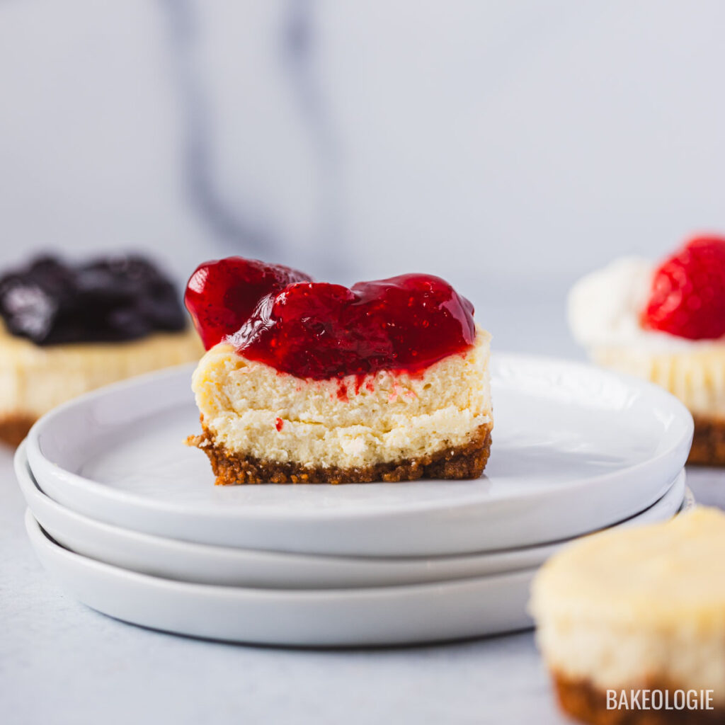Assorted mini cheesecakes baked in a muffin tin with graham cracker crust and different toppings like strawberry, blueberry, and plain.