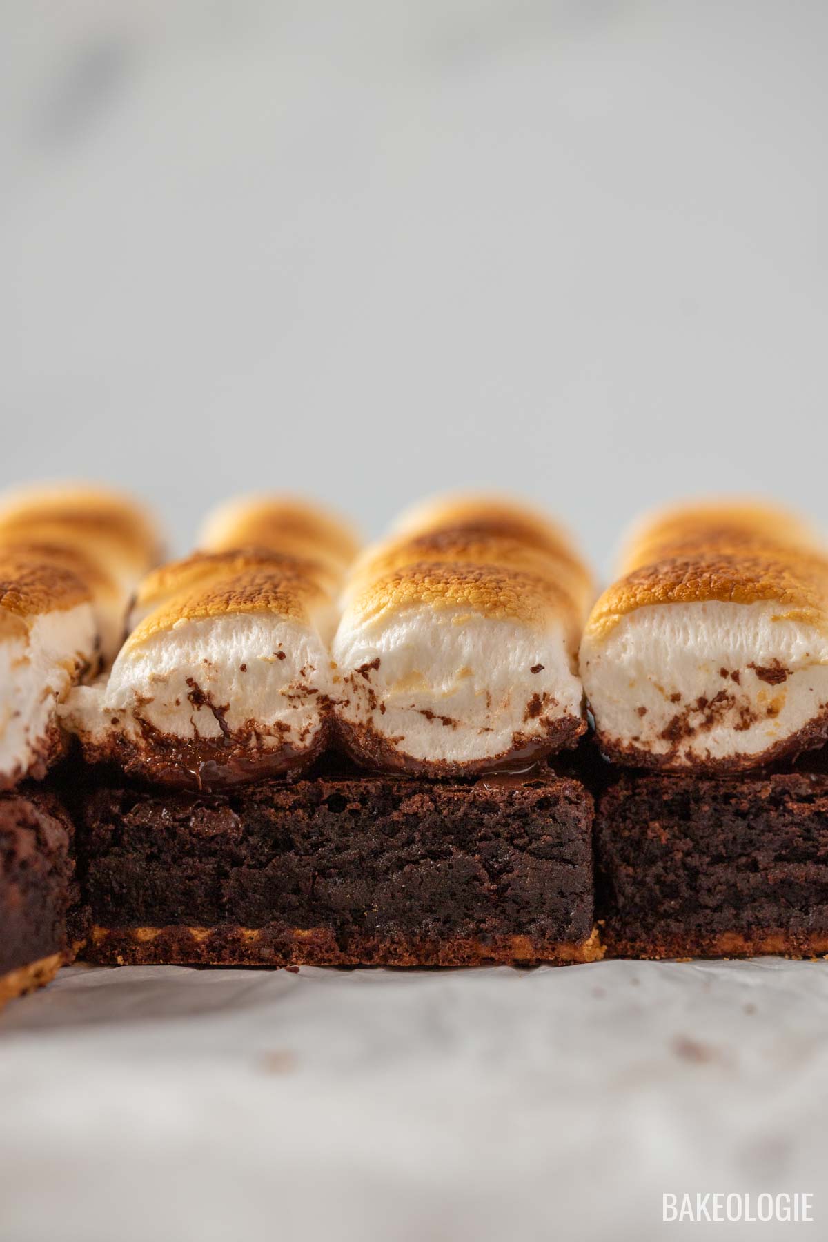 S’mores brownies topped with toasted marshmallows